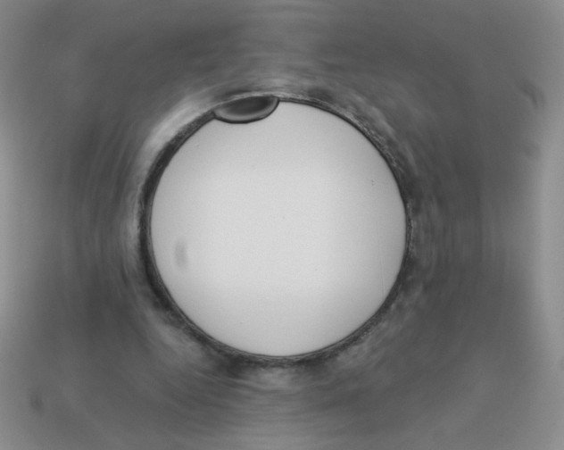 X0000113360344200910131305