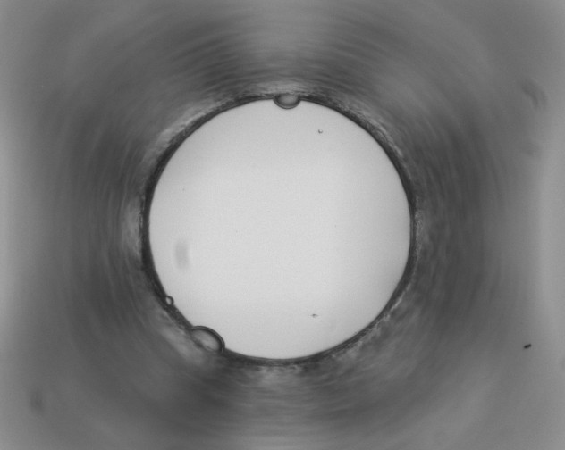 X0000113360345200910131305