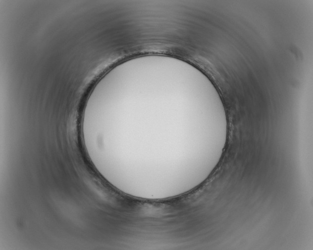 X0000113360346200910131305
