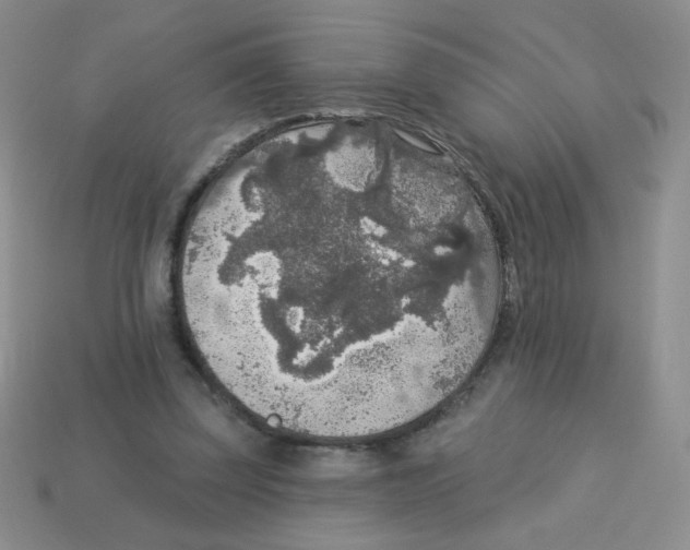 X0000113360347200910131305