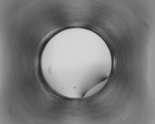 X0000113360348200910131305