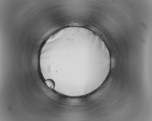 X0000113360349200910131305