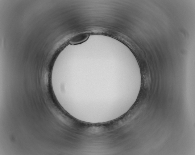 X0000113360350200910131305
