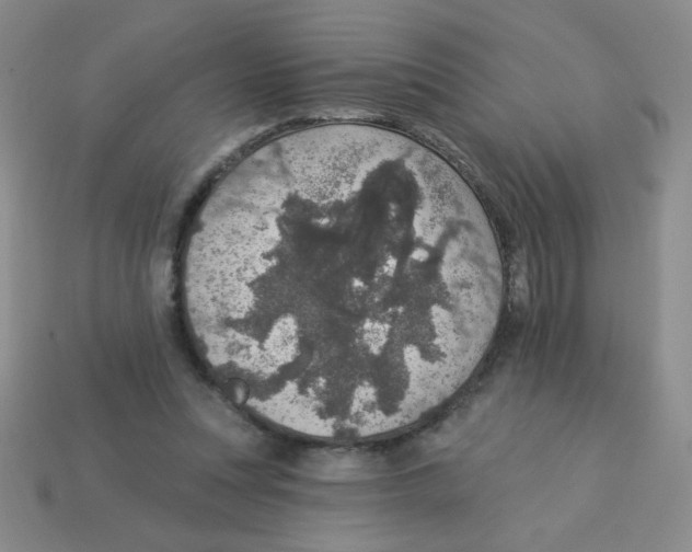X0000113360351200910131305