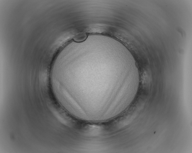 X0000113360352200910131305