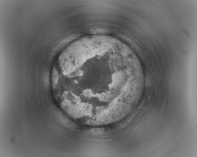X0000113360353200910131305