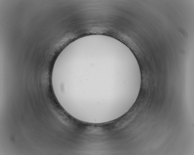 X0000113360354200910131305