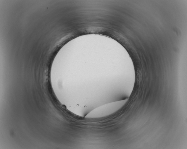 X0000113360356200910131305