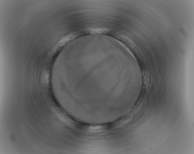 X0000113360357200910131305