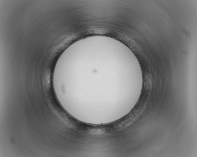X0000113360358200910131305