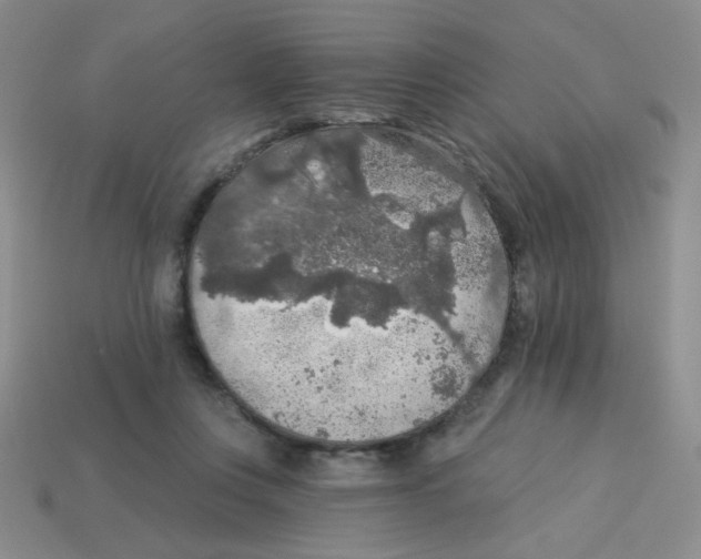 X0000113360359200910131305