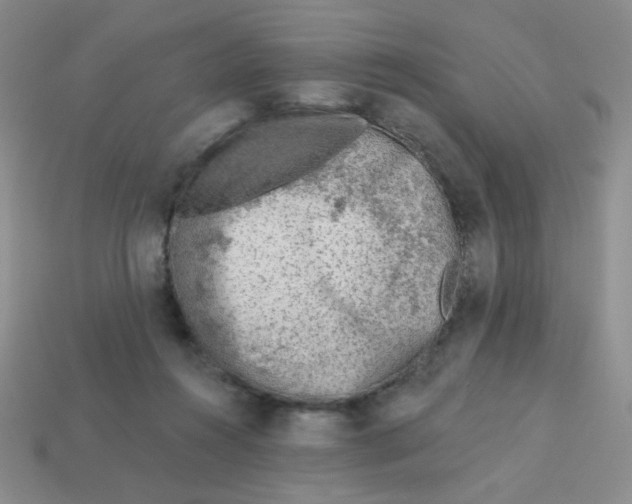 X0000113360360200910131305