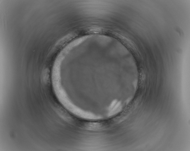 X0000113360361200910131305