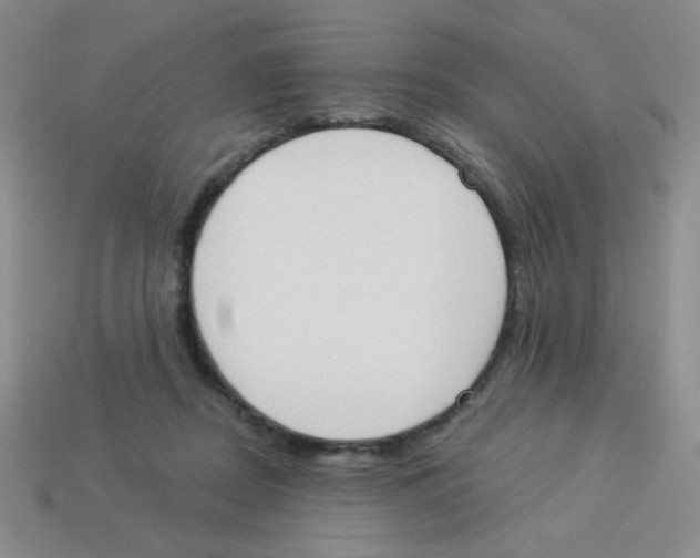 X0000113360362200910131305