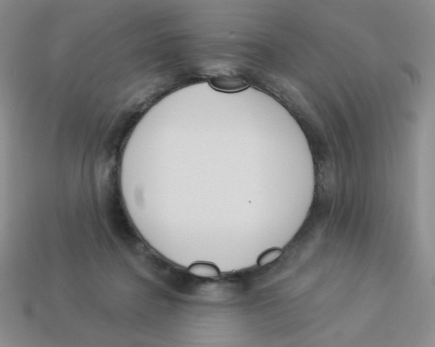X0000113360364200910131305