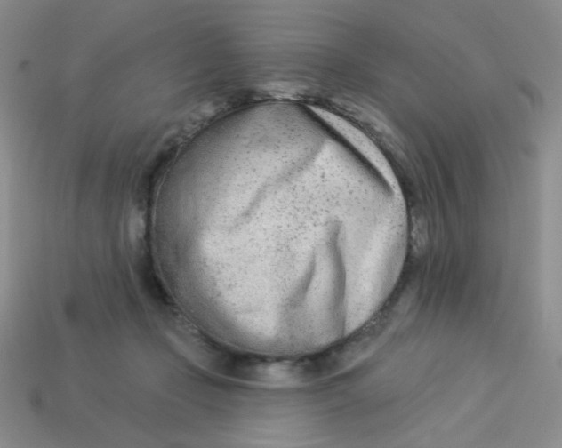X0000113360365200910131305
