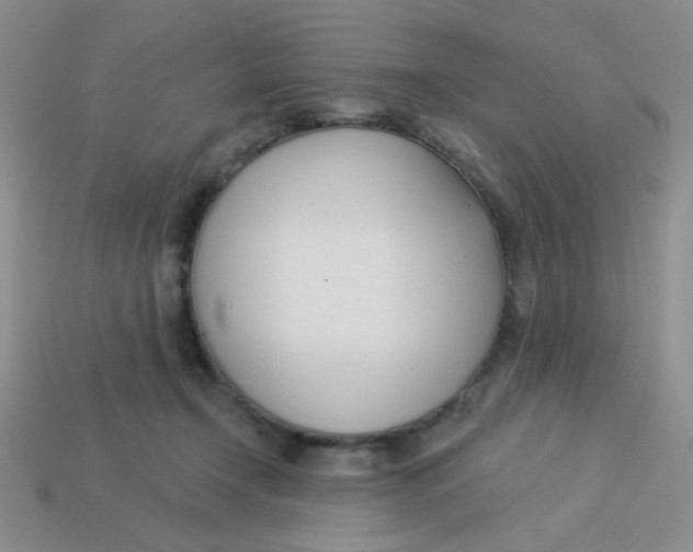 X0000113360366200910131305