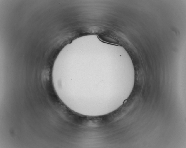X0000113360368200910131305