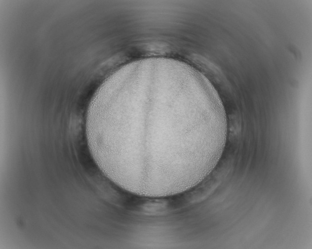 X0000113360369200910131305