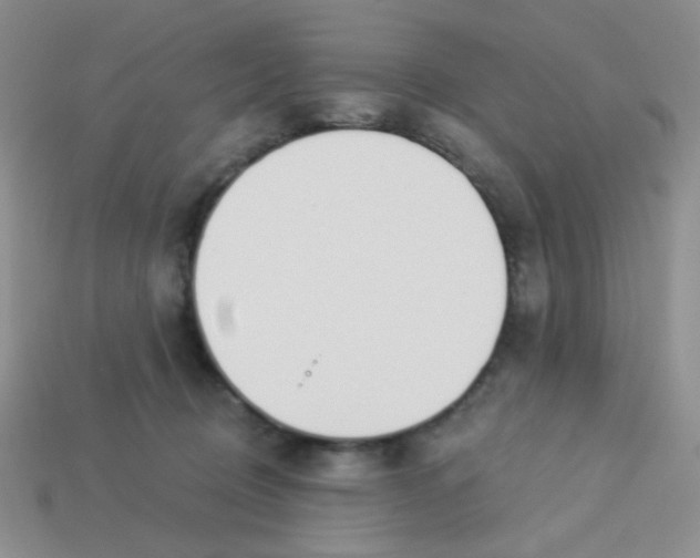 X0000113360370200910131305