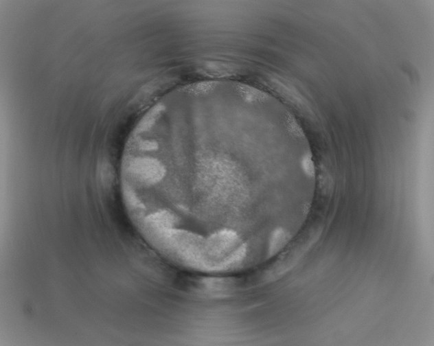 X0000113360371200910131305