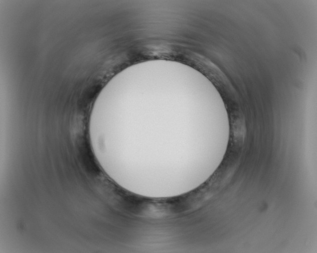 X0000113360372200910131305