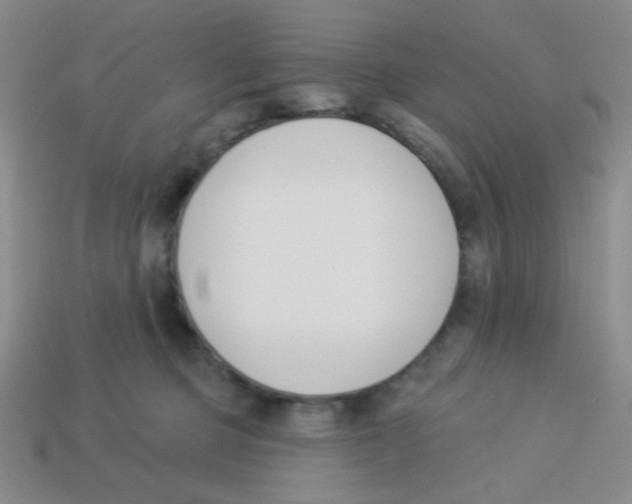 X0000113360373200910131305