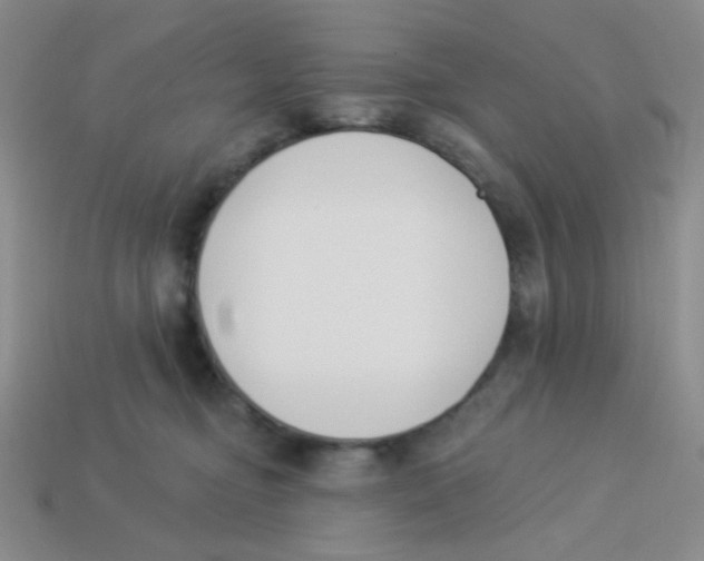X0000113360374200910131305