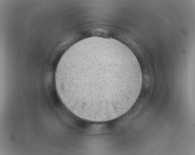 X0000113360375200910131305