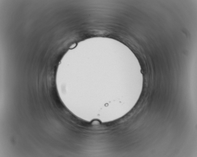 X0000113360376200910131305