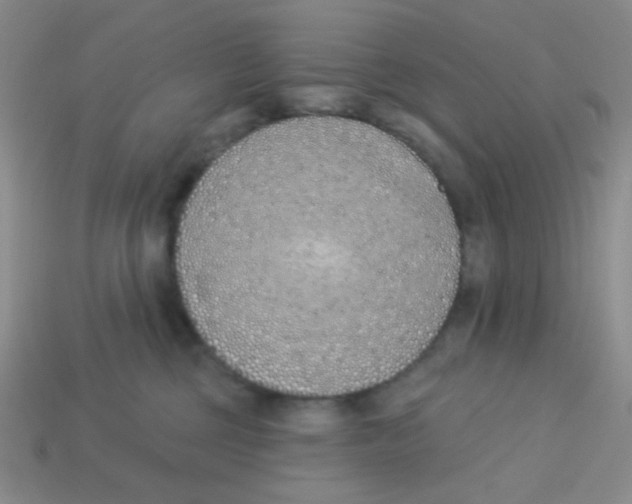 X0000113360377200910131305