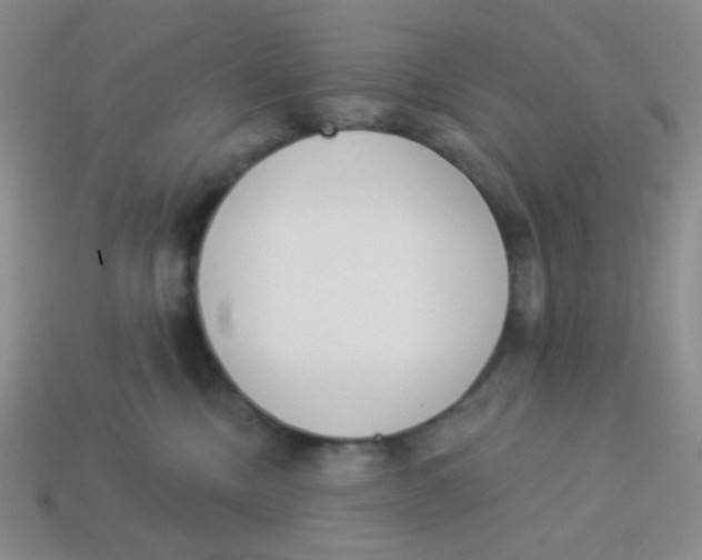 X0000113360378200910131305