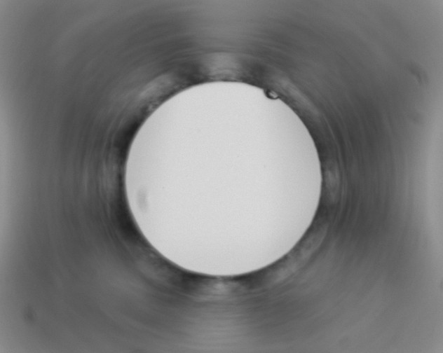 X0000113360379200910131305
