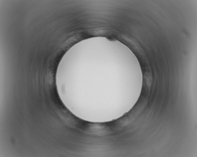 X0000113360380200910131305