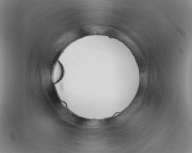 X0000113360381200910131305