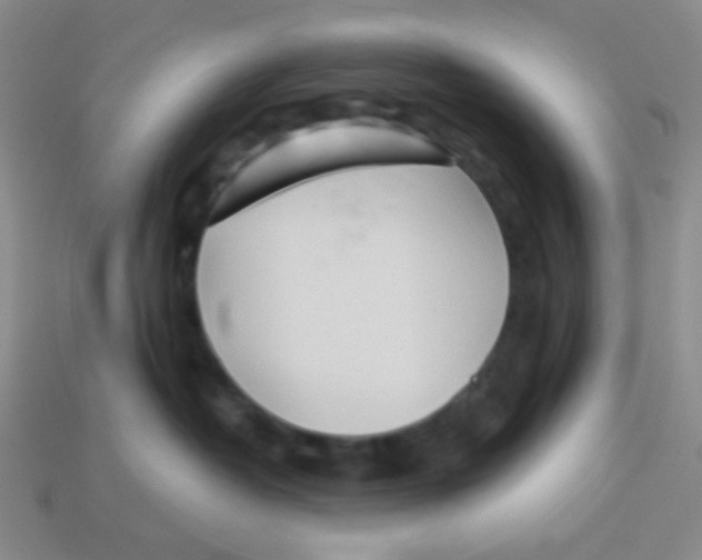 X0000113360382200910131305