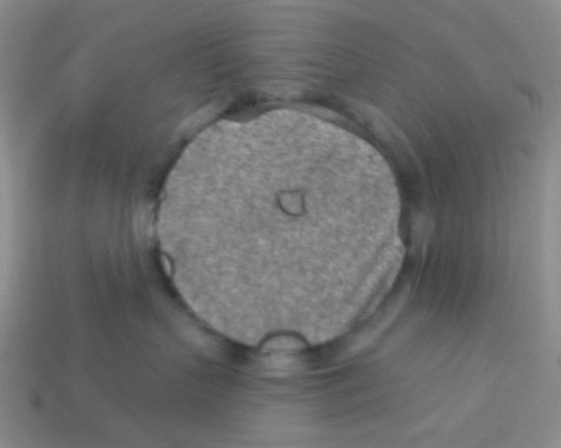 X0000113360383200910131305