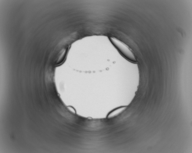 X0000113360384200910131305