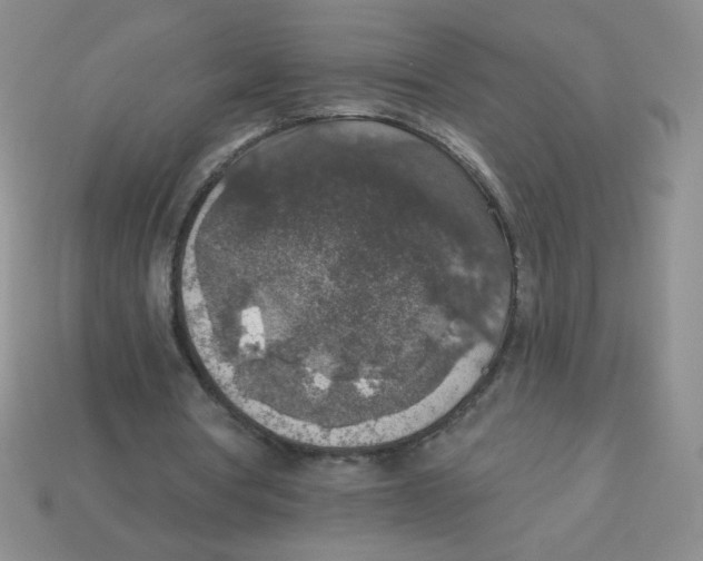 X0000113360386200910131304