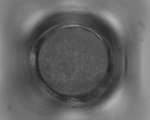 X0000113360387200910131304