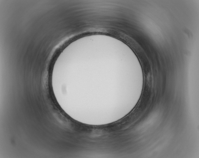 X0000113360388200910131304