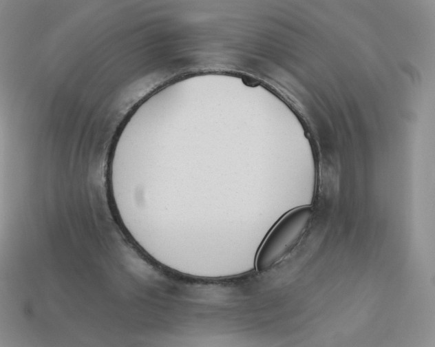 X0000113360389200910131304