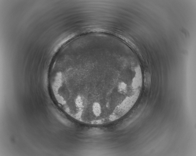X0000113360390200910131304