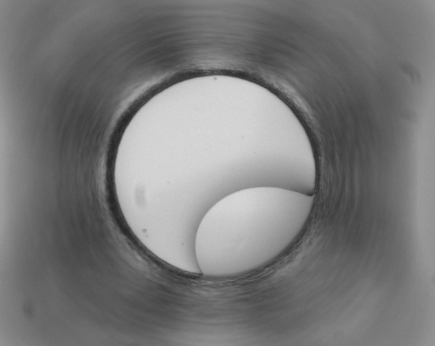 X0000113360391200910131304