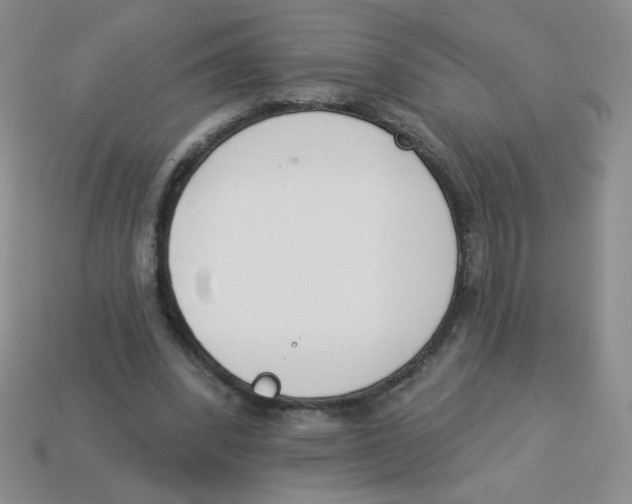 X0000113360392200910131304