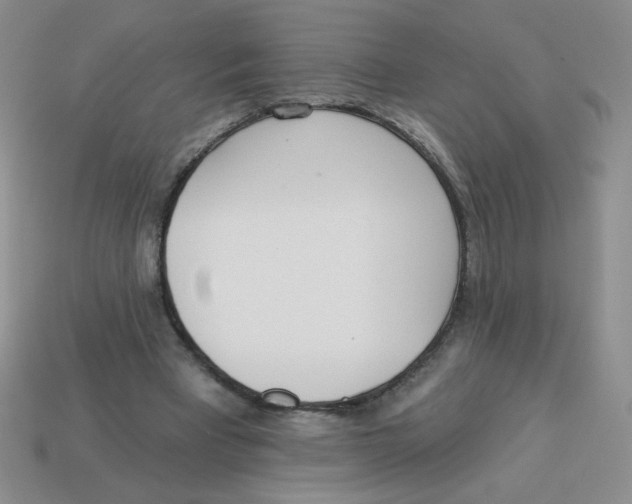 X0000113360393200910131304