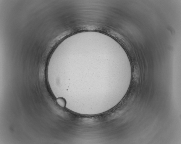 X0000113360394200910131304