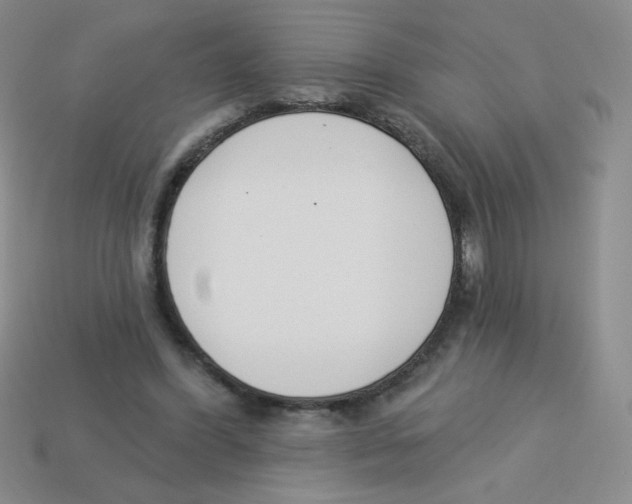 X0000113360396200910131304