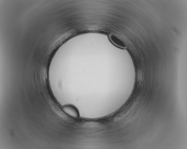 X0000113360397200910131304