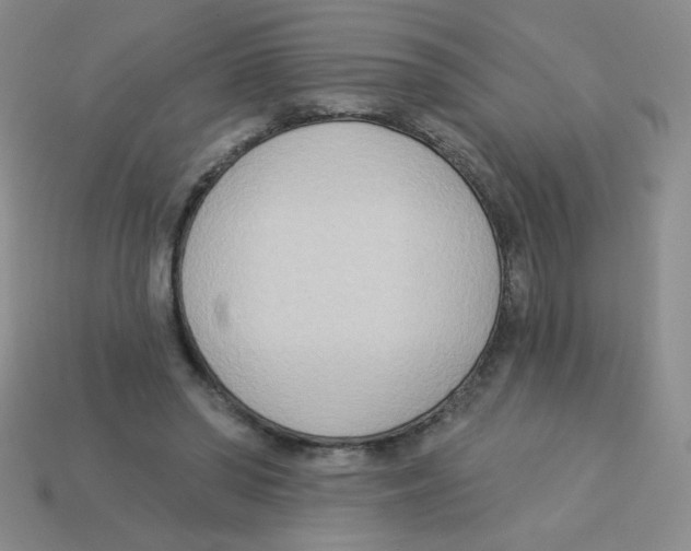 X0000113360398200910131304